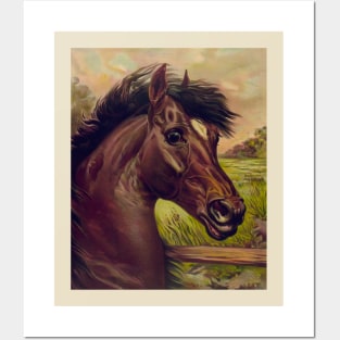 Horse Posters and Art